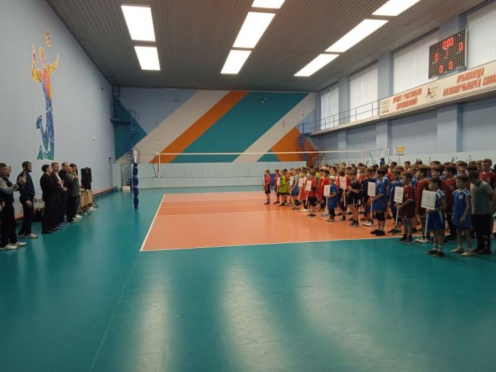 В Алексеевское приехали лучшие юные волейболисты среди сельских районов Татарстана