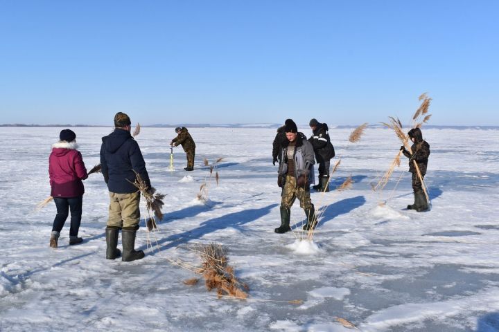 В Алексеевском охотники и рыбаки приняли меры по предотвращению замора рыбы
