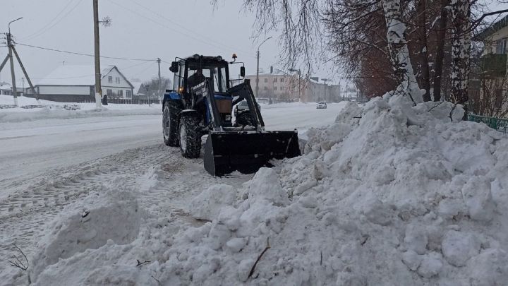 Стоимость Вывоза Снега