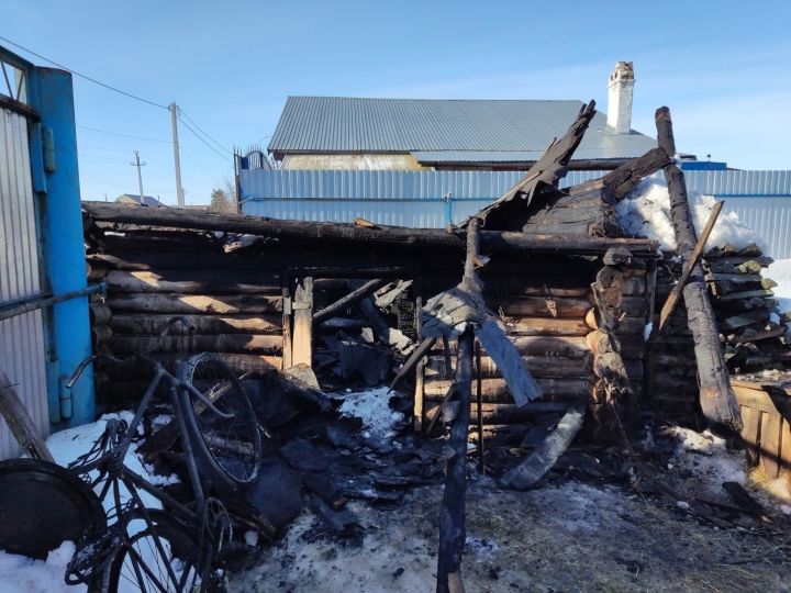 В Алексеевском районе пожар уничтожил постройку