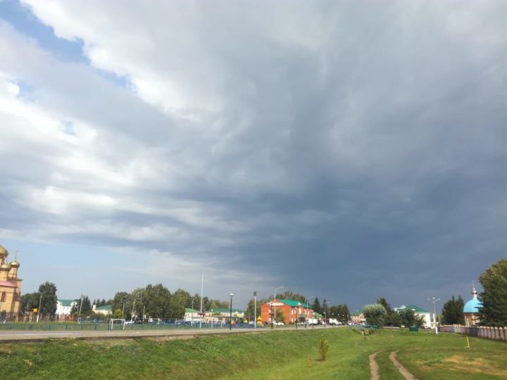 Ежедневный оперативный прогноз погоды на 26 апреля для жителей Алексеевского района