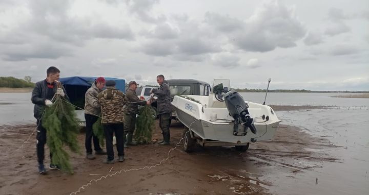 В Алексеевском рыбаки создали искусственное нерестилище