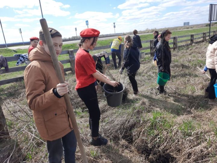 В Алексеевском районе прошла Международная акция «Сад Памяти»