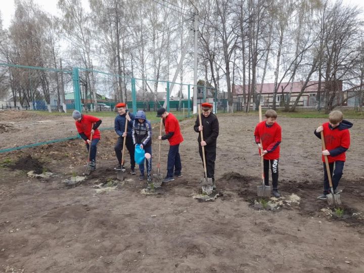 В Алексеевском районе прошла Международная акция «Сад Памяти»