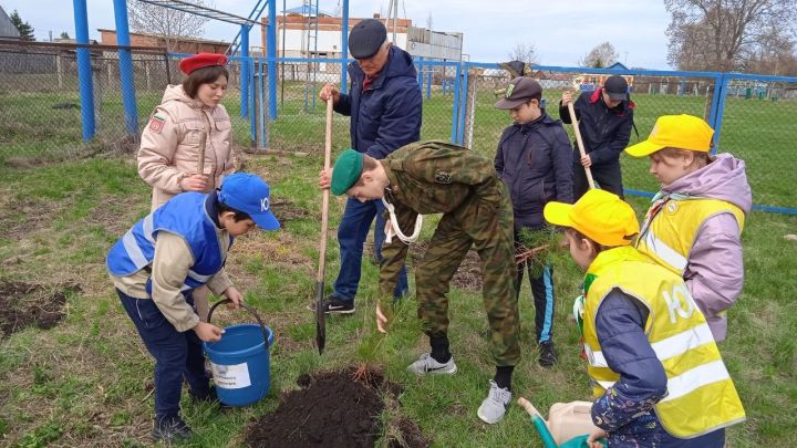 Фотоотчет: Левашевцы высадили «Сад памяти»
