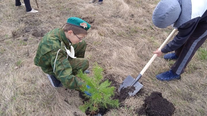 Фотоотчет: Левашевцы высадили «Сад памяти»
