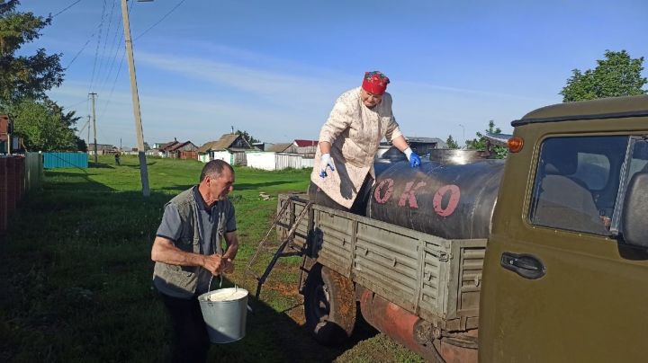 В кооперативе "Олы Тигэнэле" из Больших Тиган ежедневно собирают 50 тонн молока