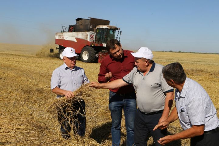 В Алексеевском районе за ходом уборочной кампании следят ветераны сельского хозяйства