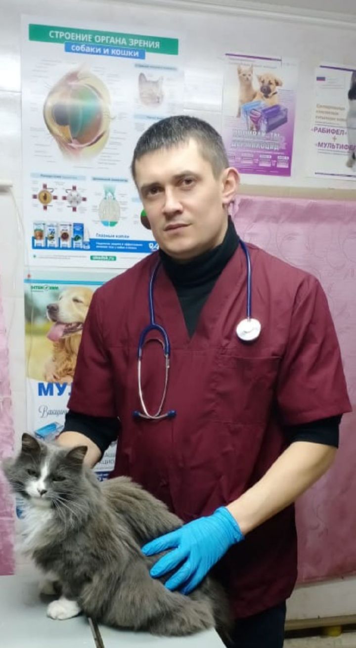 Алексеевский ветеринар Айрат Миндубаев рассказал о своей профессии
