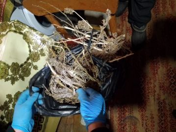 Полицейские Алексеевского района изъяли у местного жителя марихуану