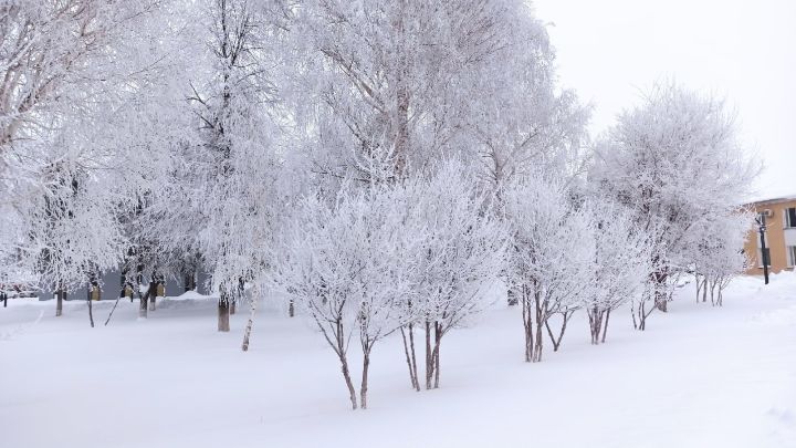 Прогноз погоды на 9 декабря