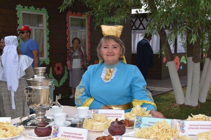 Фоторепортаж: Алексеевский район представил свою культуру на Казанском Сабантуе