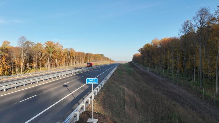 На обходе Нижнекамска и Набережных Челнов установили ограждения от диких животных