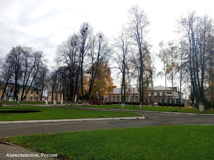 Погода в Алексеевском районе на 1 ноября