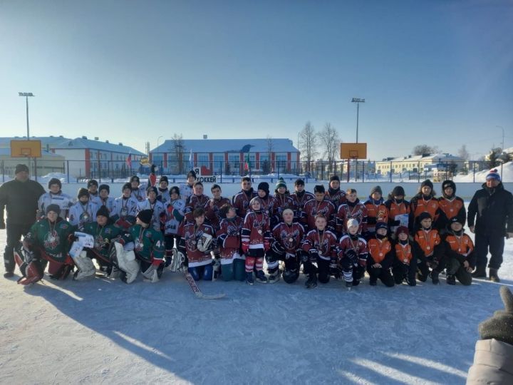 Юные алексеевские хоккеисты заняли 2 место в межмуниципальном турнире