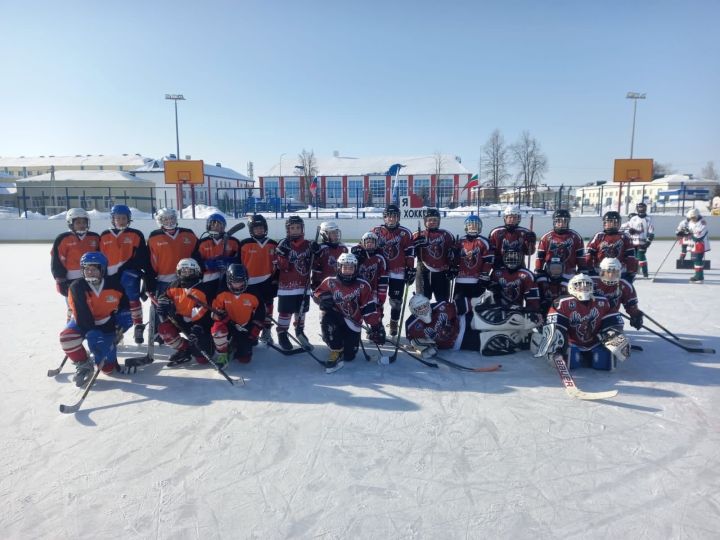 Юные алексеевские хоккеисты заняли 2 место в межмуниципальном турнире
