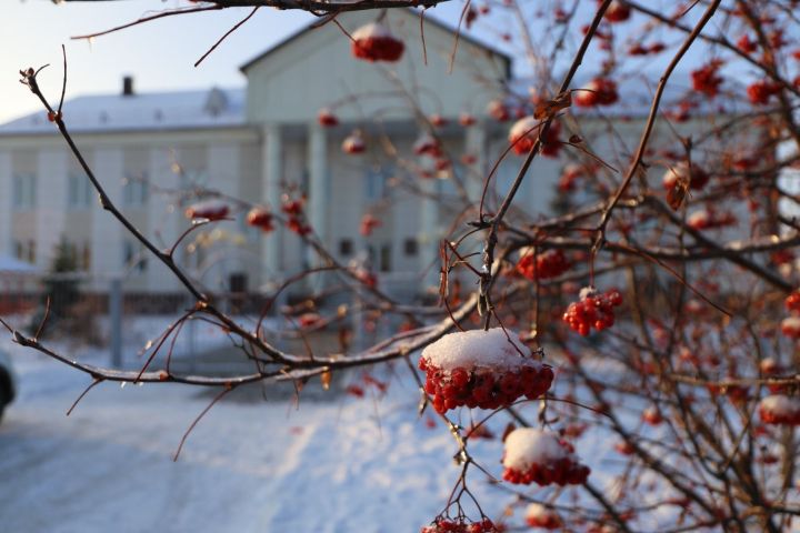 Прогноз погоды на 4 февраля
