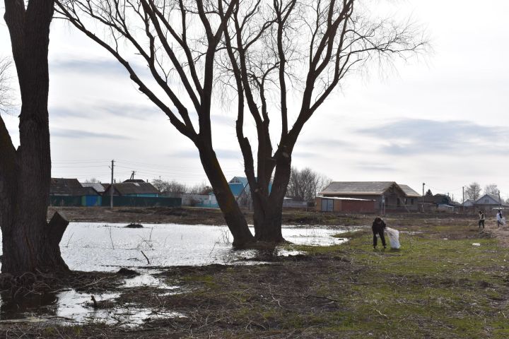 Алексеевцы очистили берег реки Кама