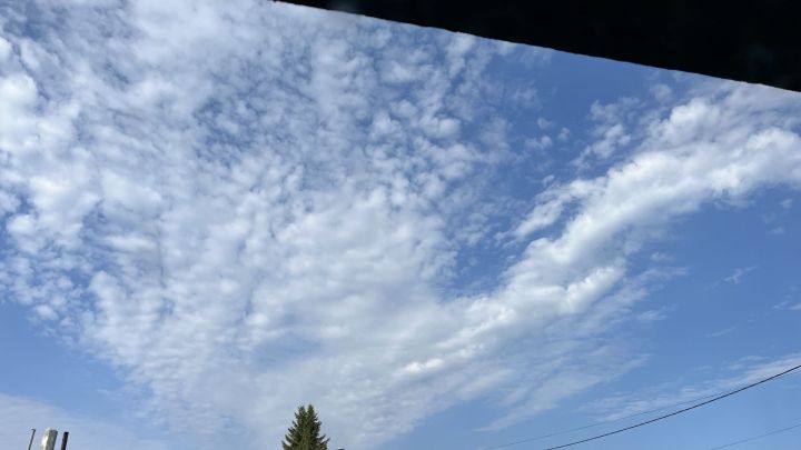 Погода в Алексеевском на 25 августа