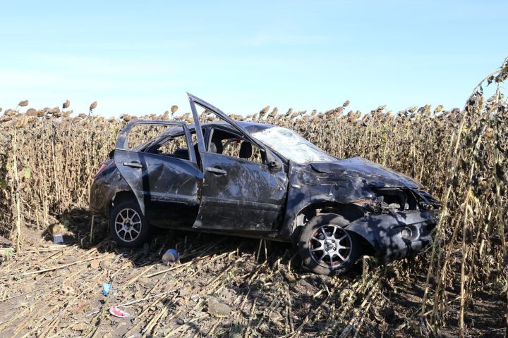 В Алексеевском районе в результате ДТП погибли два человека