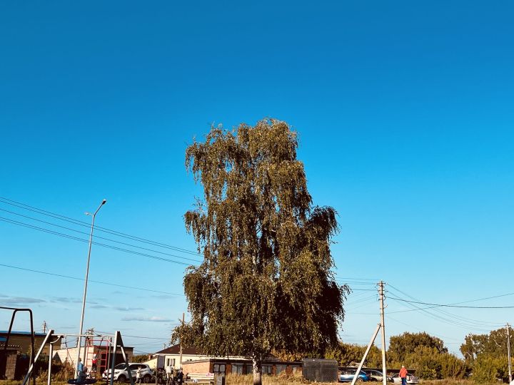 Погода в Алексеевском на 7 сентября