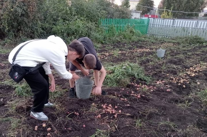 В Алексеевском районе прошла акция «Протяни руку помощи»