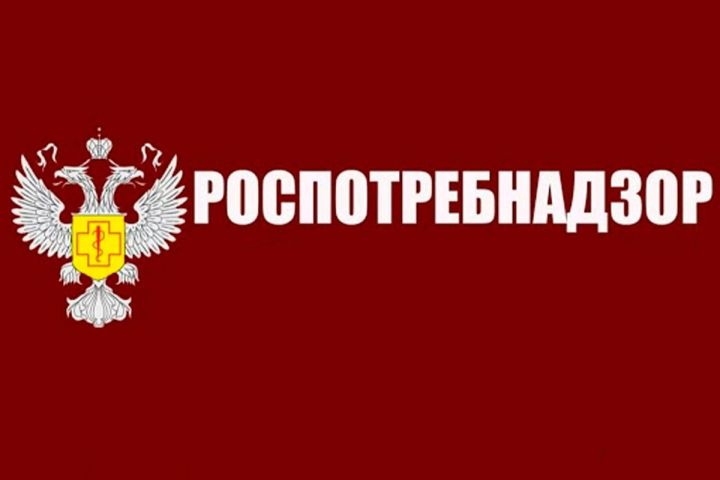 Вниманию предпринимателей: в Алексеевском районе пройдет день «открытых дверей»