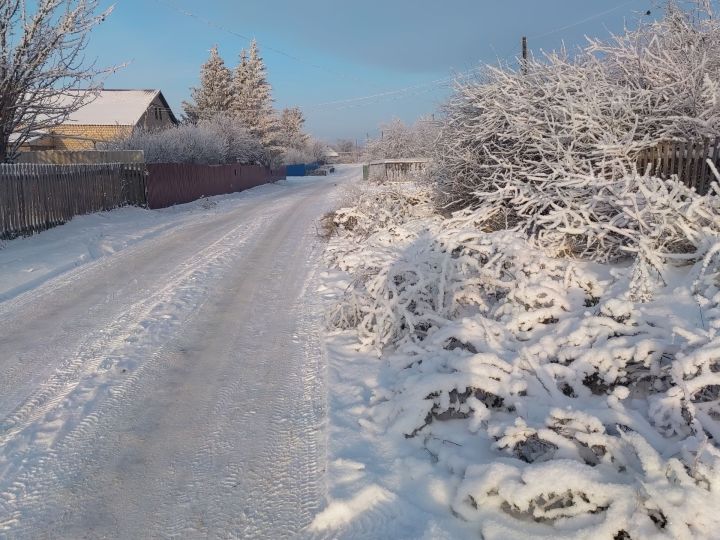 Прогноз погоды в Алексеевском 1 февраля