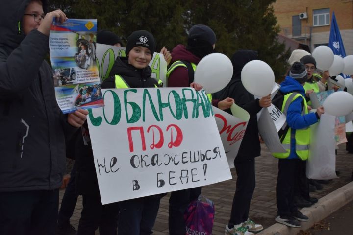 В Алексеевском районе ГИБДД проводит акцию «Осенние каникулы»