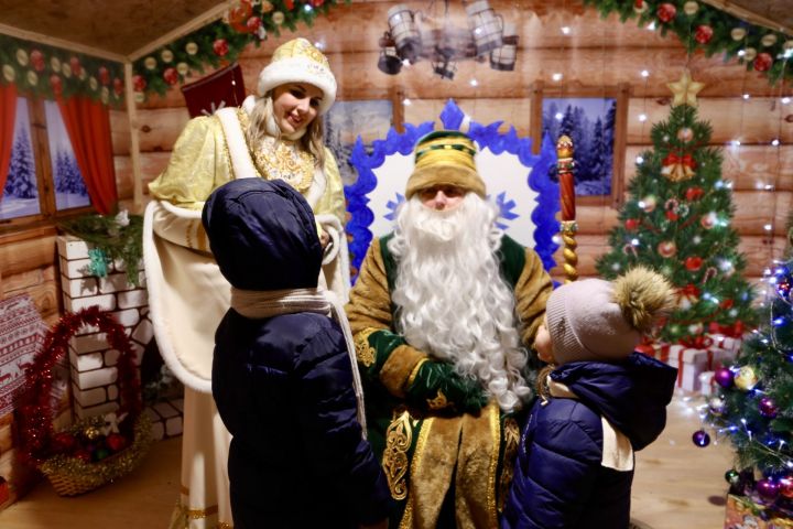 Главная ёлка Алексеевского района зажгла свои огни