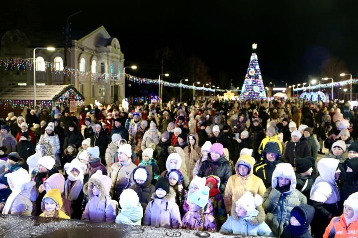 Главная ёлка Алексеевского района зажгла свои огни