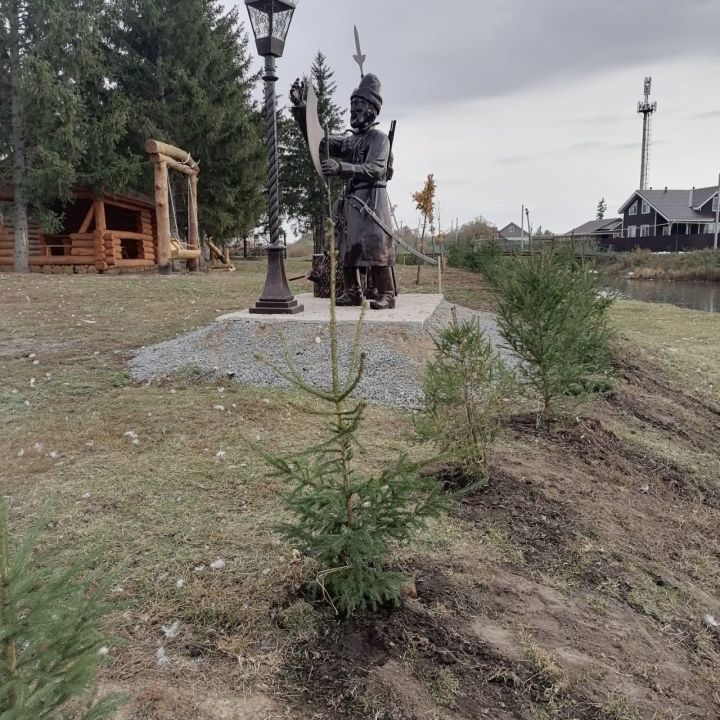 Питомники Татарстана увеличили производство елей к Новому году