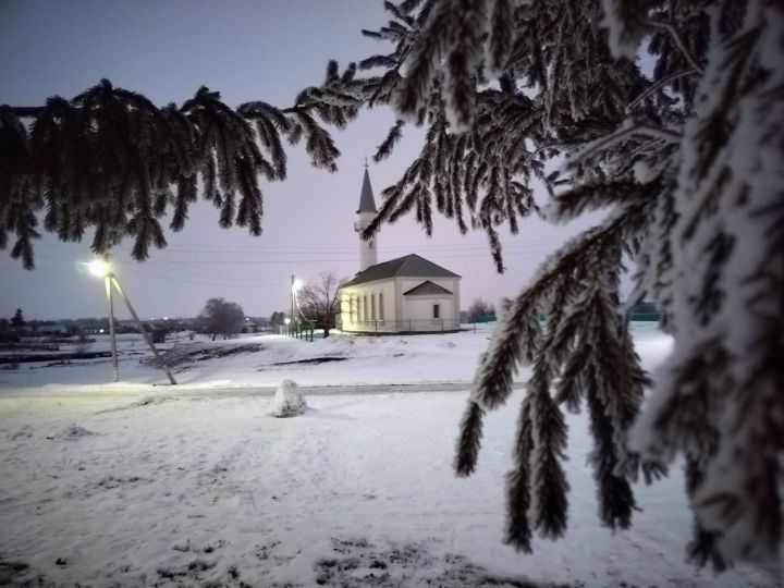 Прогноз погоды в Алексеевском на 11 февраля