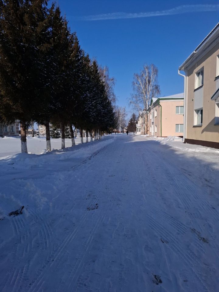 Синоптики предупреждают: ночью в Алексеевском будут морозы