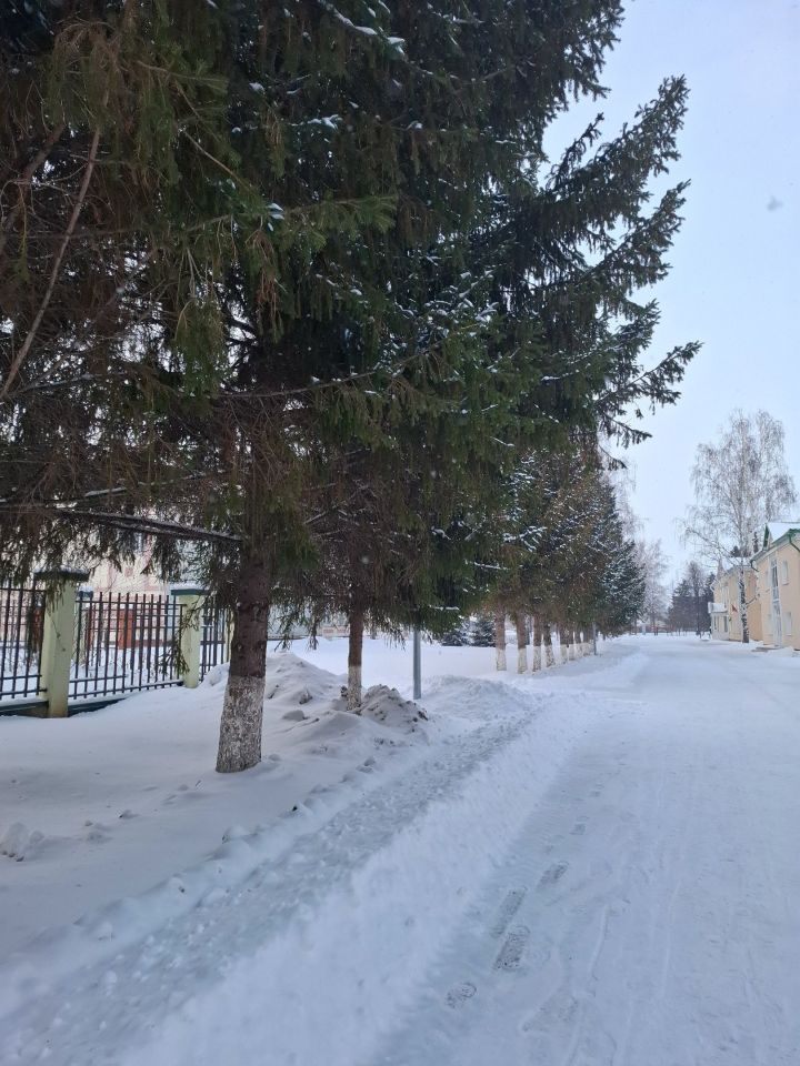 Прогноз погоды в Алексеевском на 22 февраля