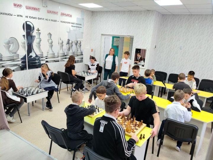 В Алексеевском продолжается муниципальный этап Всероссийских соревнований по шахматам