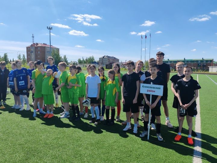 Алексеевские школы приняли участие в «Школьной футбольной лиге»