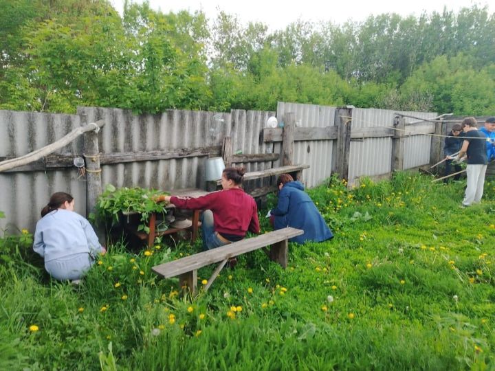 Алексеевские школьники отметили День детских объединений