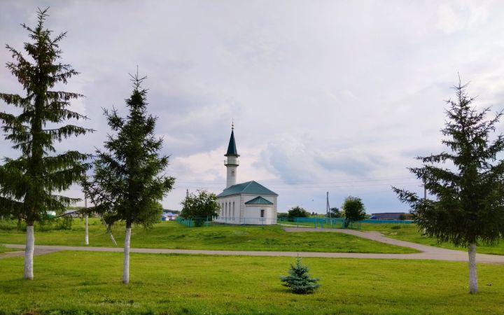 Прогноз погоды в Алексеевском на 1 июля
