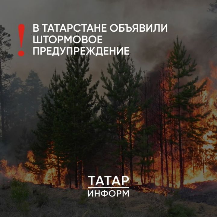 Ограничено посещение лесов в Татарстане из-за пожароопасности