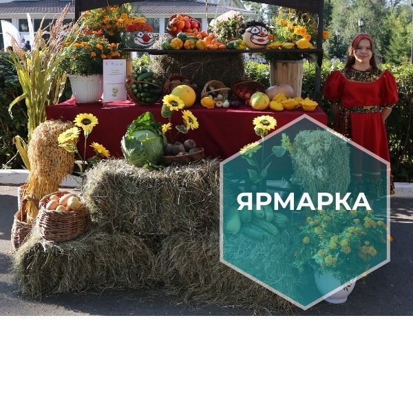 В Казани стартует ежемесячная ярмарка «Изобилие»