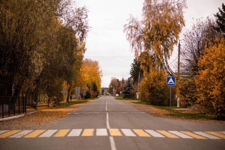 Прогноз погоды в Алексеевском районе на 24 октября