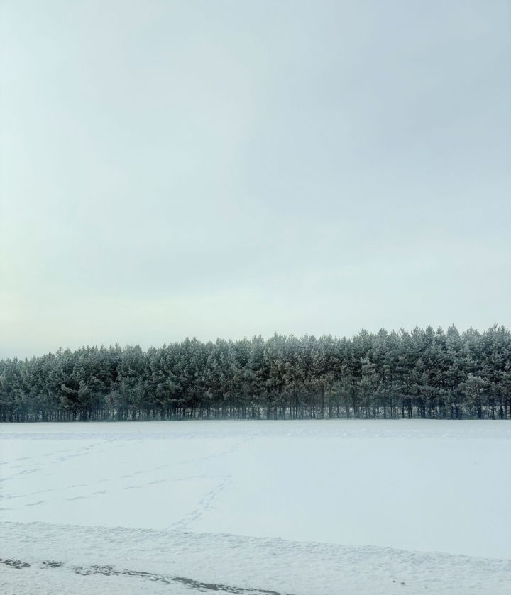 Прогноз погоды в Алексеевском на 28 февраля