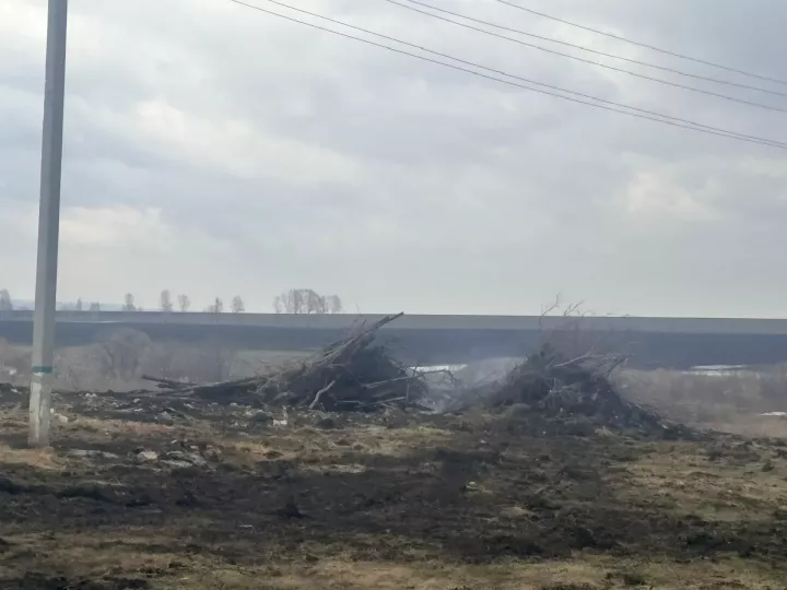 В Алексеевском районе выявлены свалки вдоль автомобильных дорог