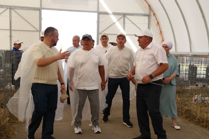 Рустам Минниханов оценил ход уборочной кампании в Алексеевском районе